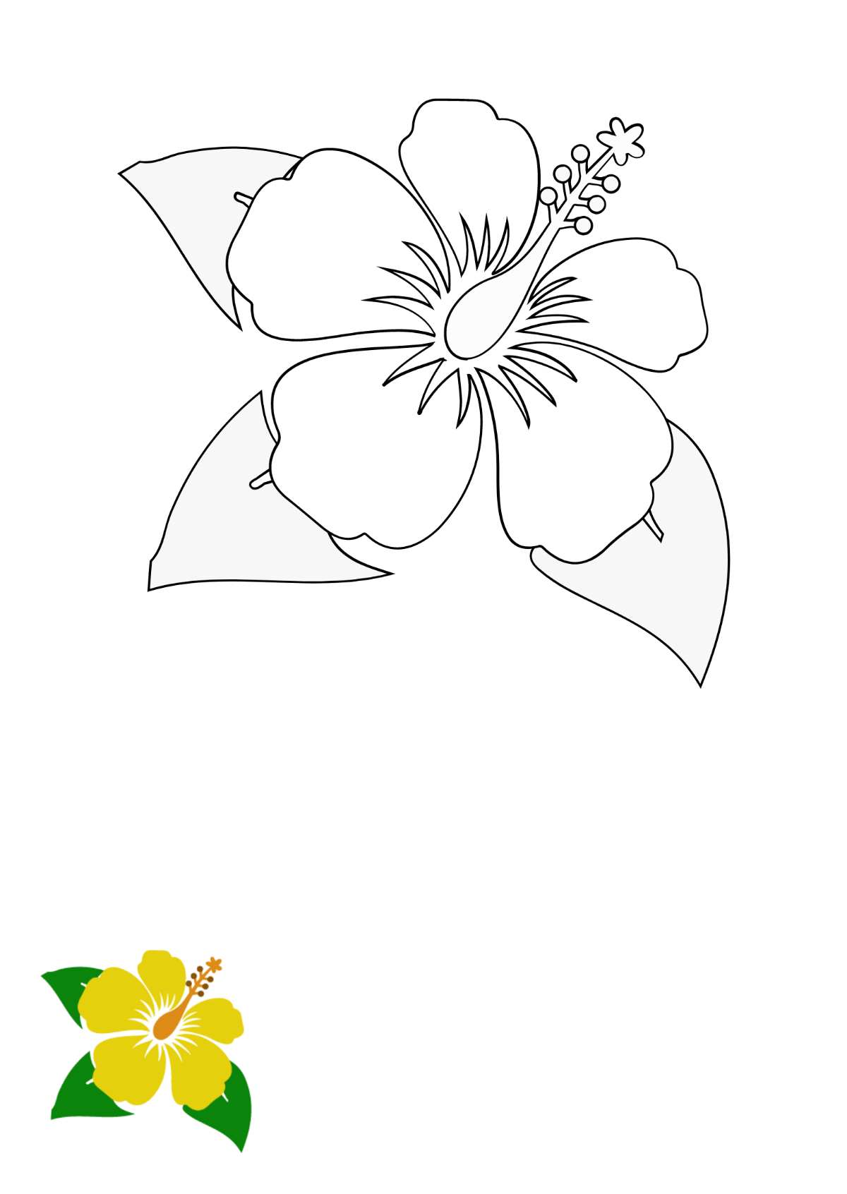 Hibiscus Flower Coloring Page Template