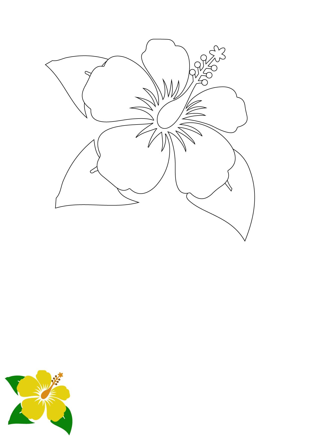 hibiscus flower outline