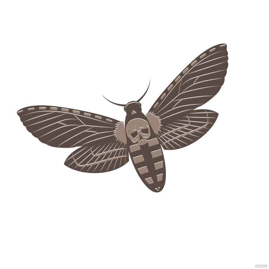 Free Deaths Head Hawk moth Clipart Template