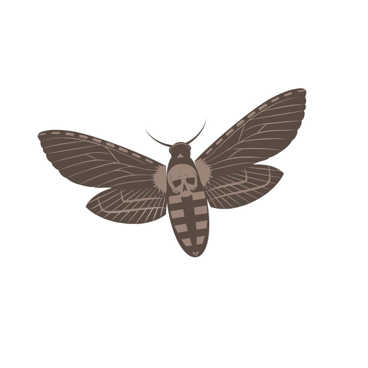 Deaths Head Hawk moth Clipart