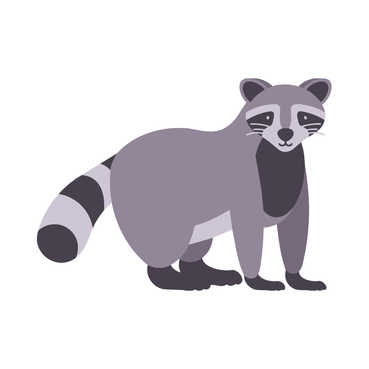 Racoon Clipart Template