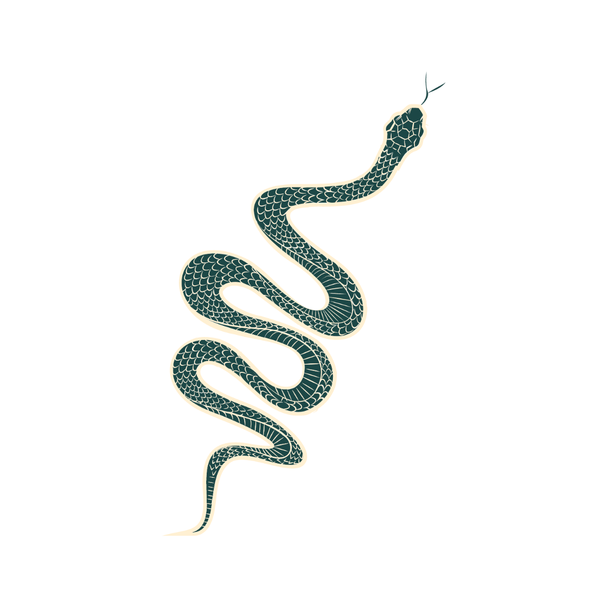 Reptile Snake Clipart