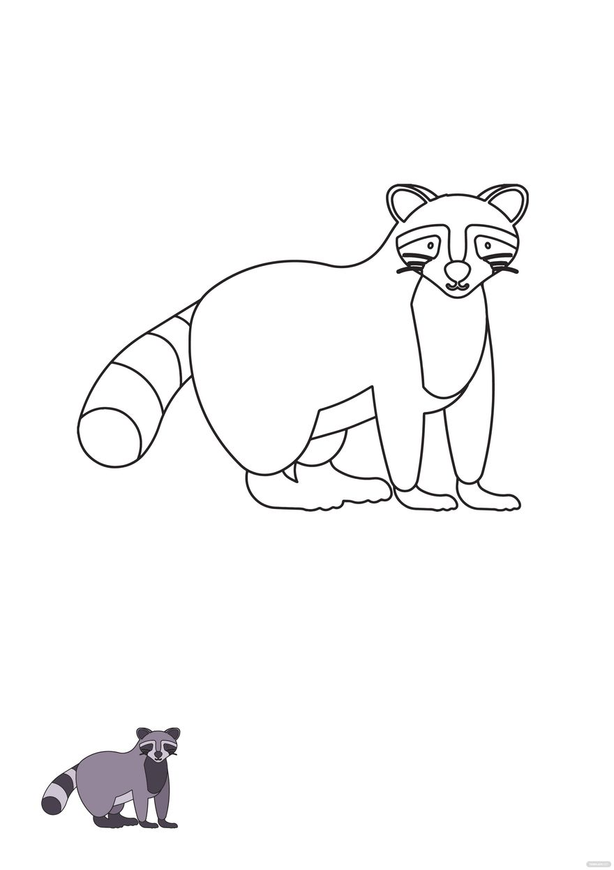 Free Racoon Coloring Page Template in PDF, EPS, JPG