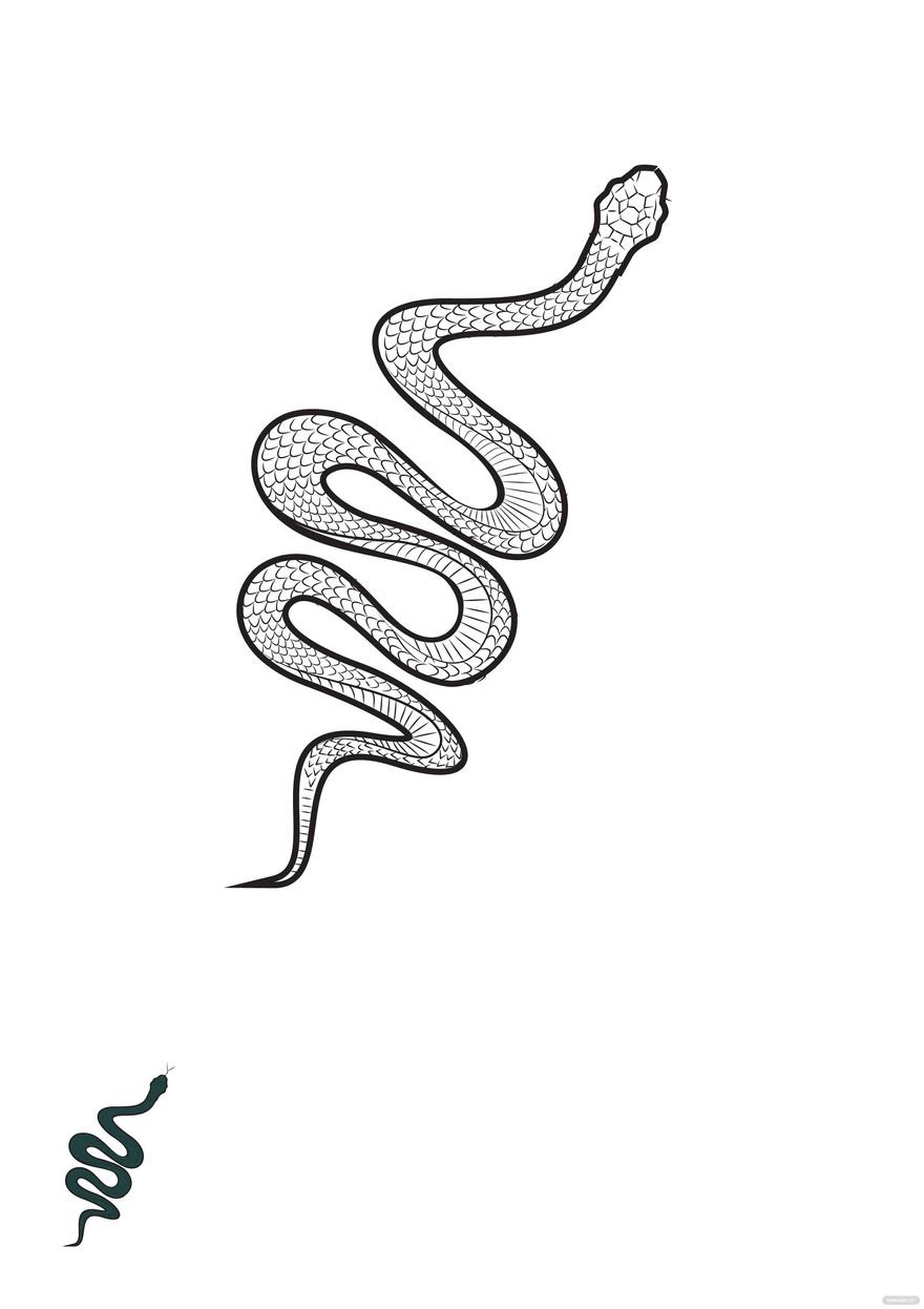 Reptile Snake Coloring Page Template