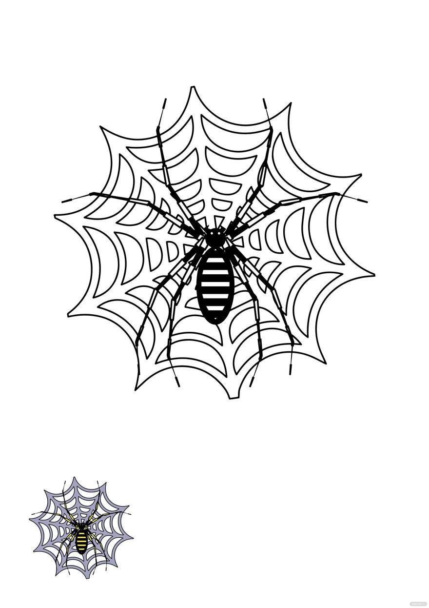 Free Spider Web Coloring Page Template Download in PDF, EPS, JPG
