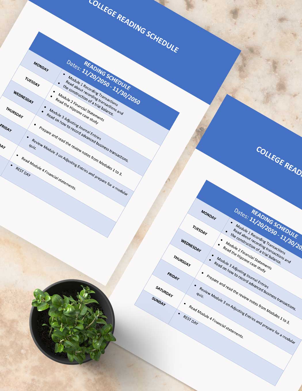 College Reading Schedule Template Google Docs Word Apple Pages 