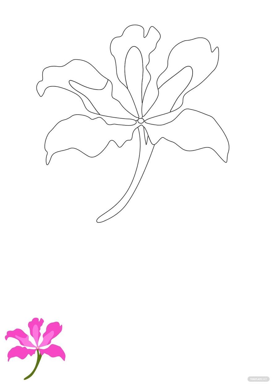 Chinese Flower Coloring Page