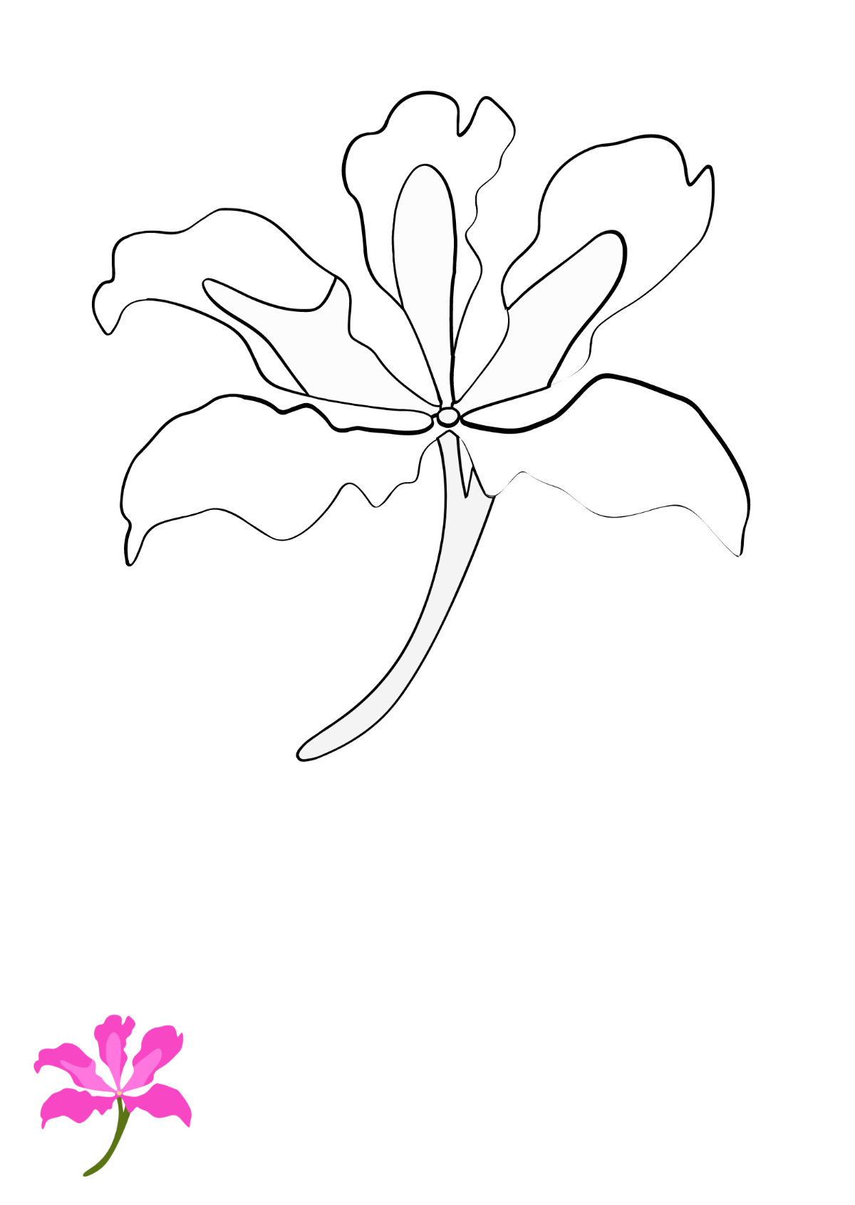 Chinese Flower Coloring Page Template