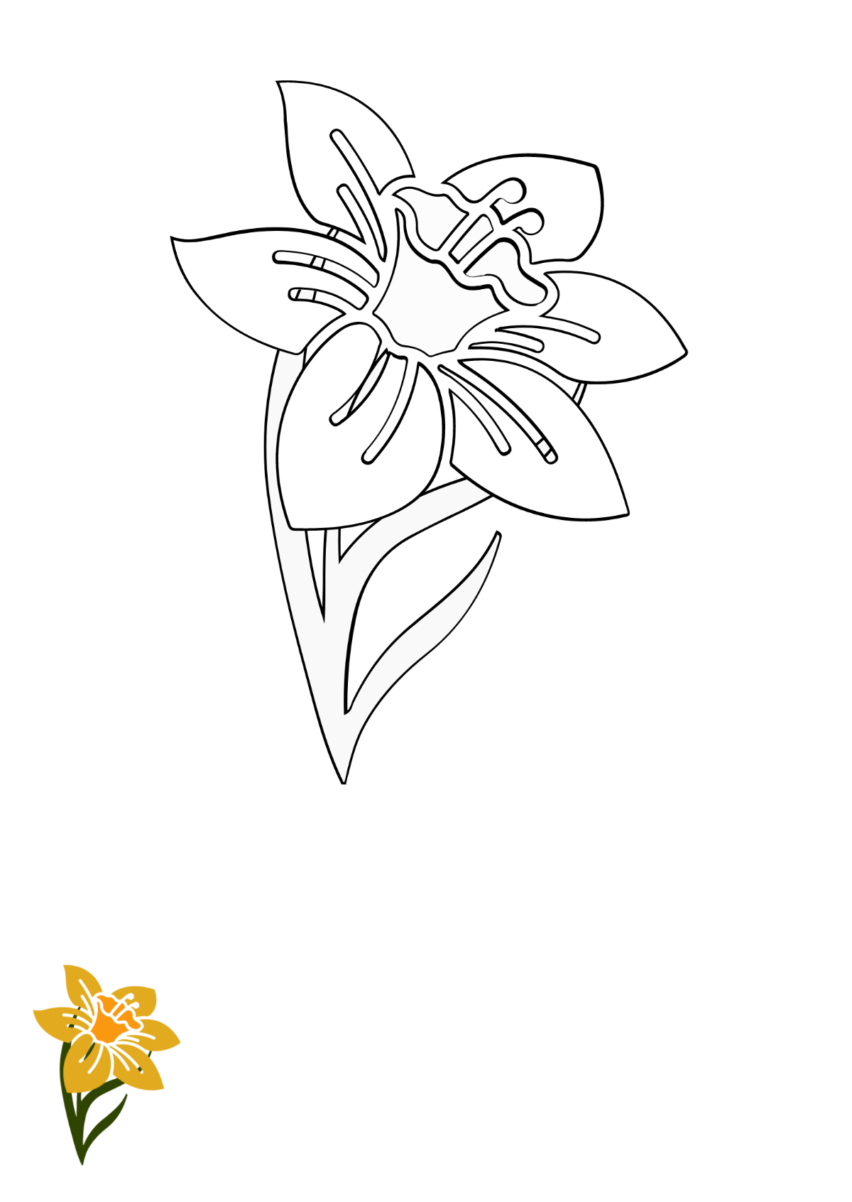 Daffodil Flower Coloring Page Template