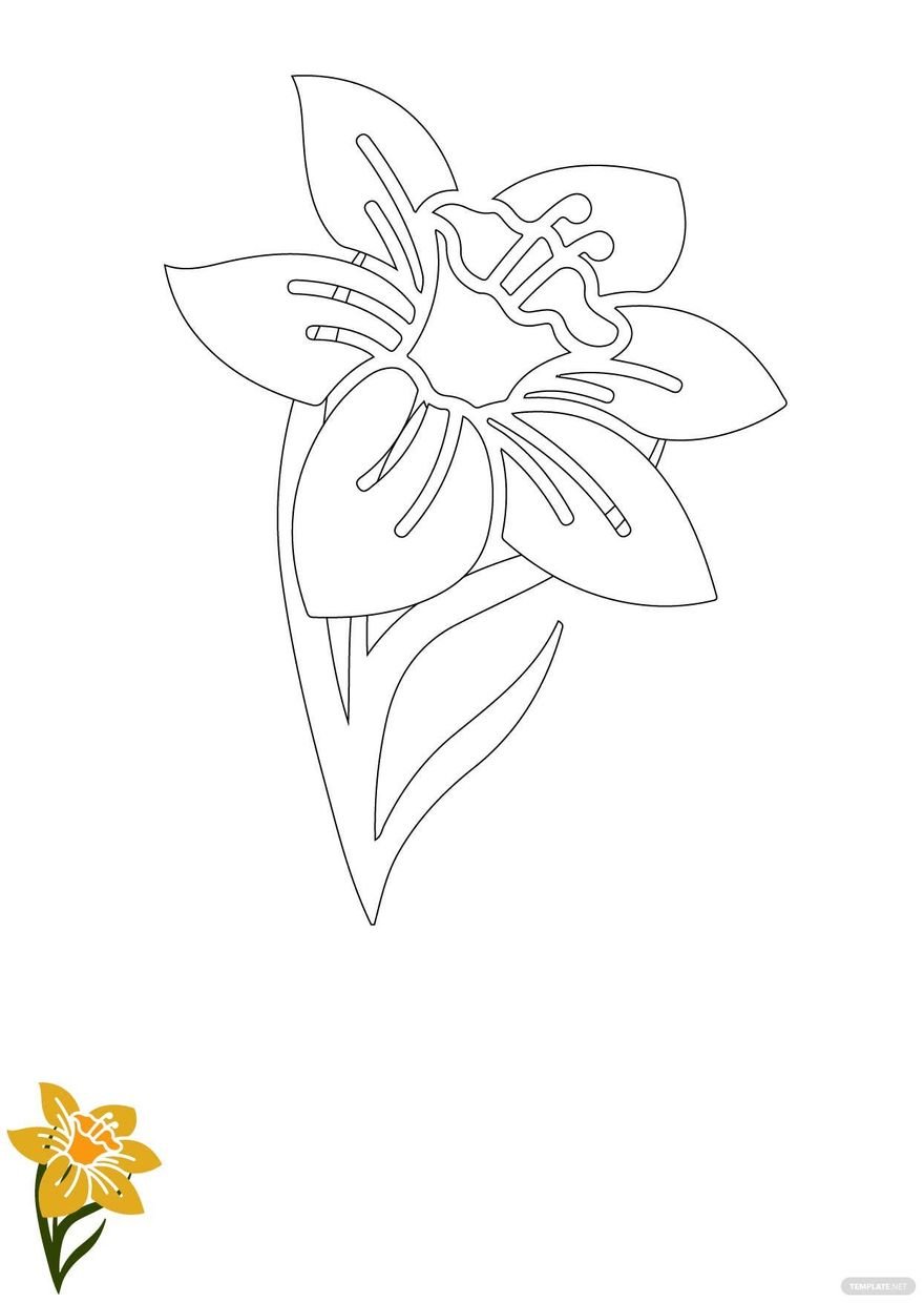 Daffodil Flower Coloring Page in PDF, EPS, JPG