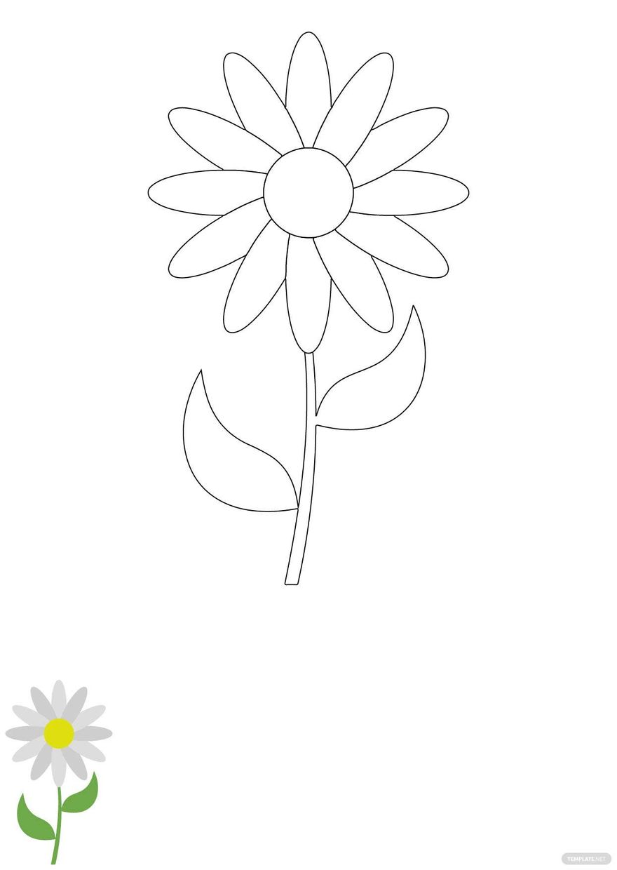 Free Daisy Flower Coloring Page in PDF, EPS, JPG