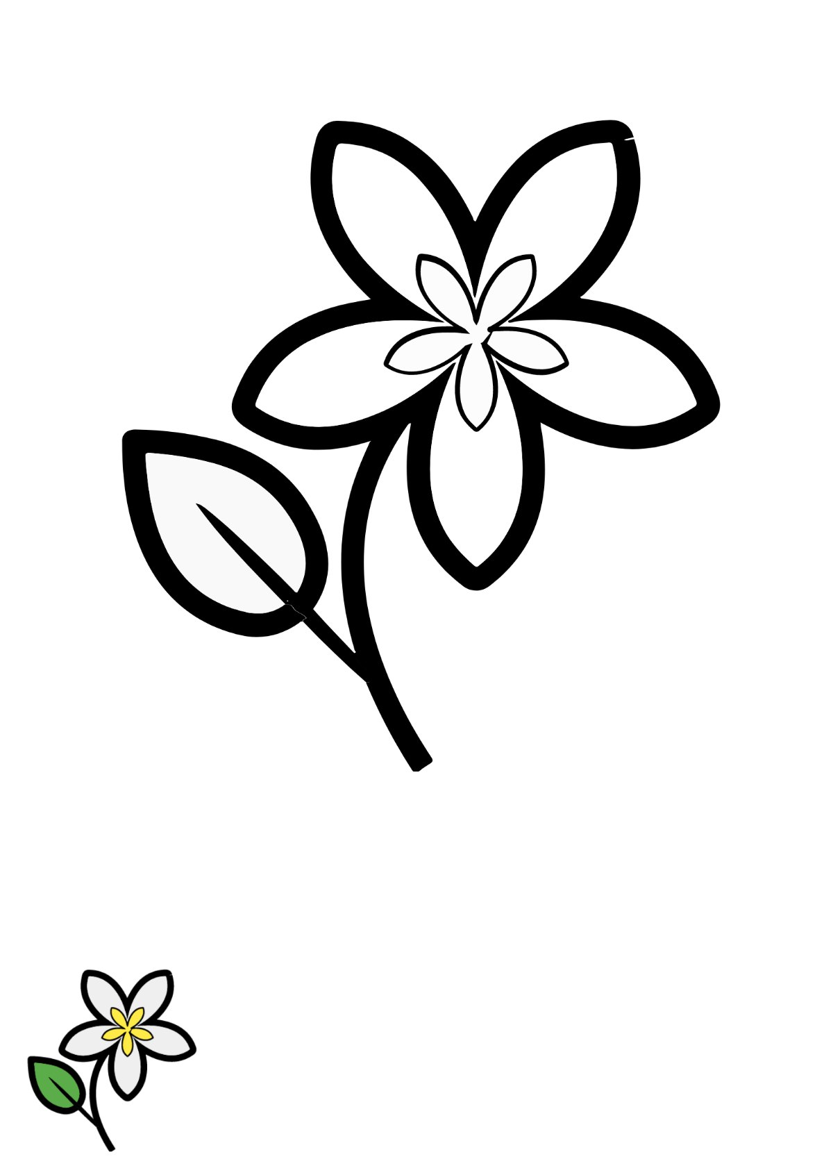 Jasmine Flower Coloring Page Template