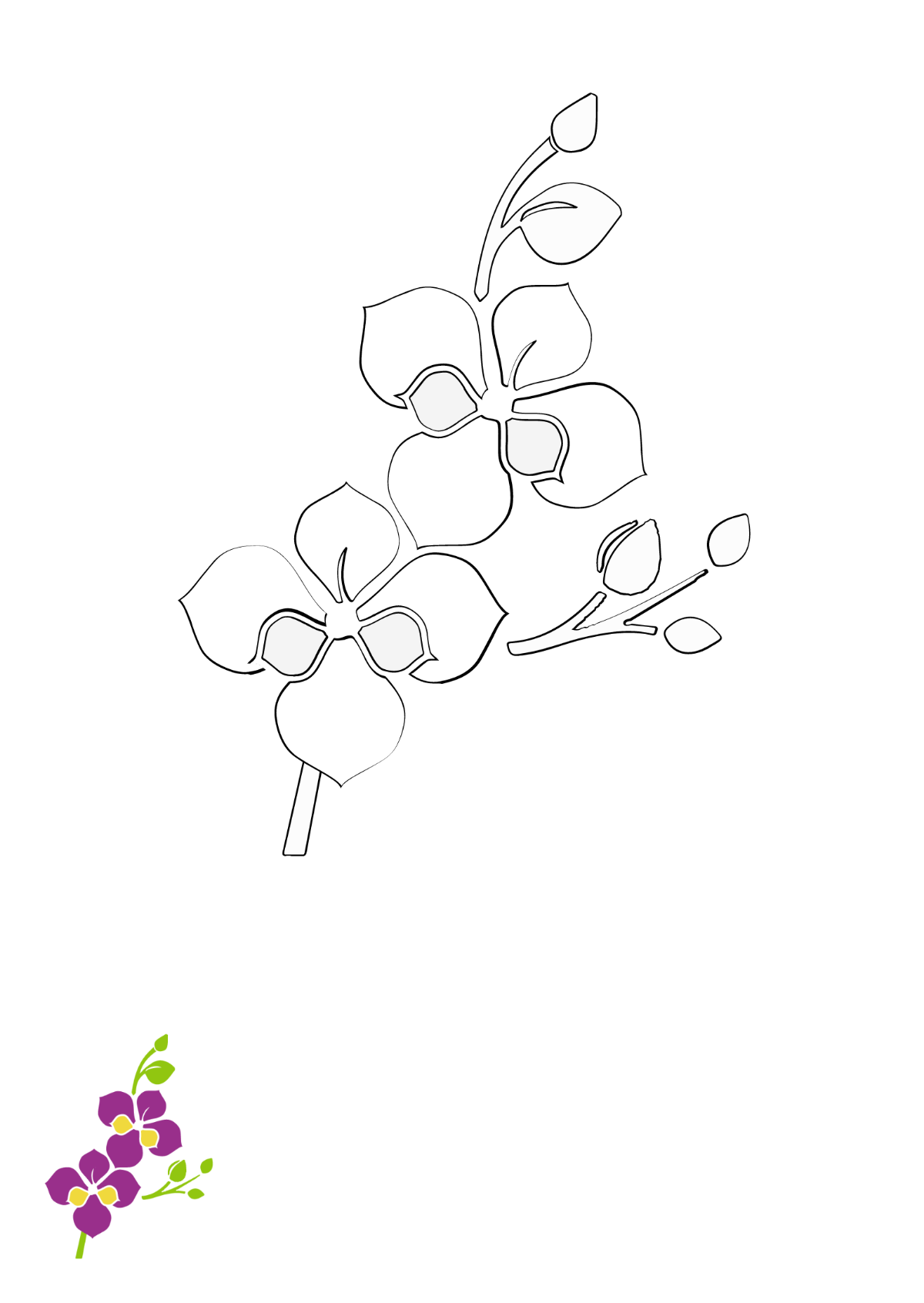 Orchid Flowers Coloring Page Template
