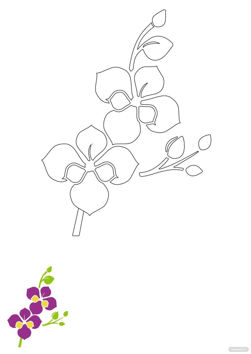 Orchid Flowers Coloring Page in PDF, EPS, JPG
