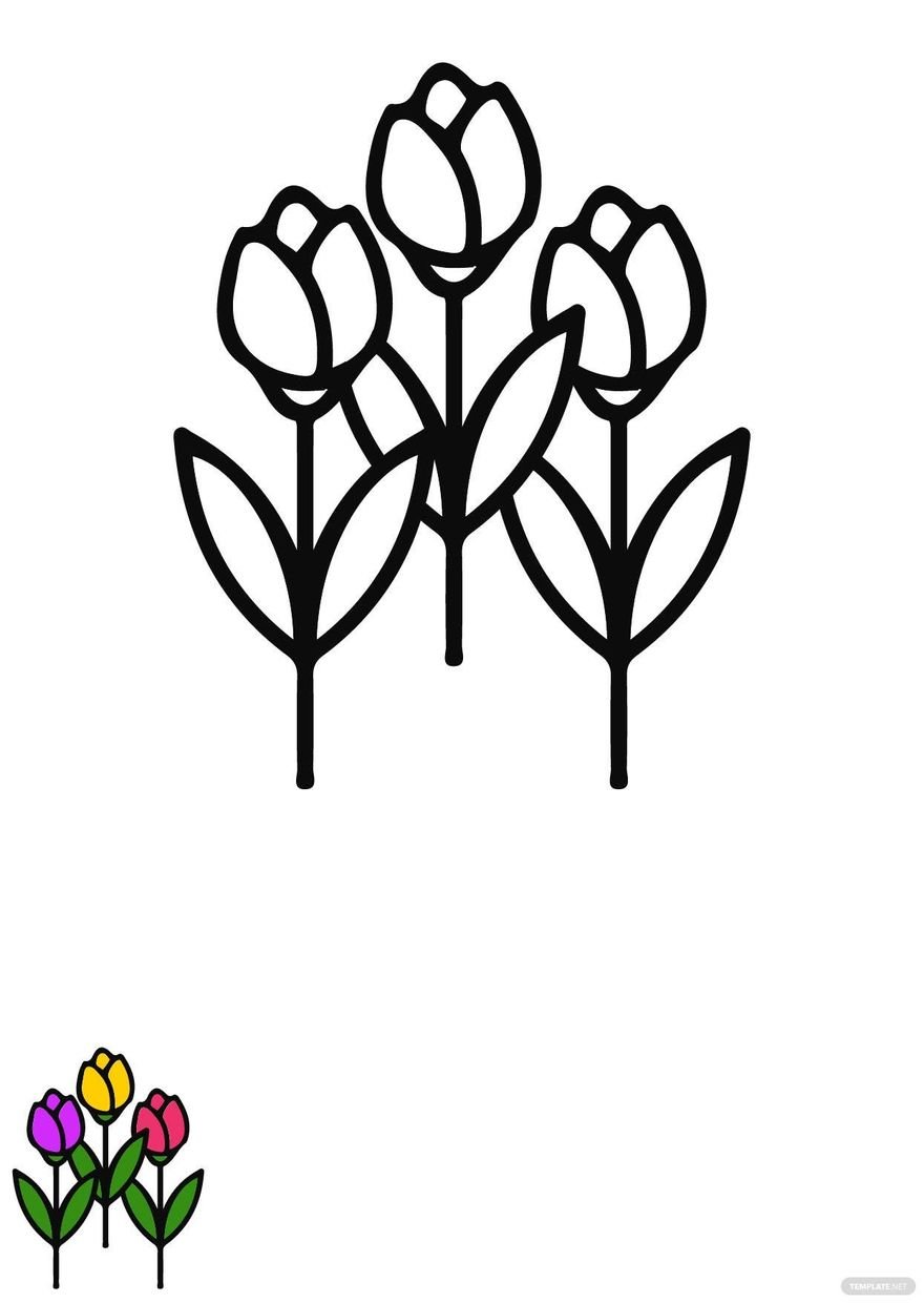 Tulip Flowers Coloring Page in PDF, EPS, JPG