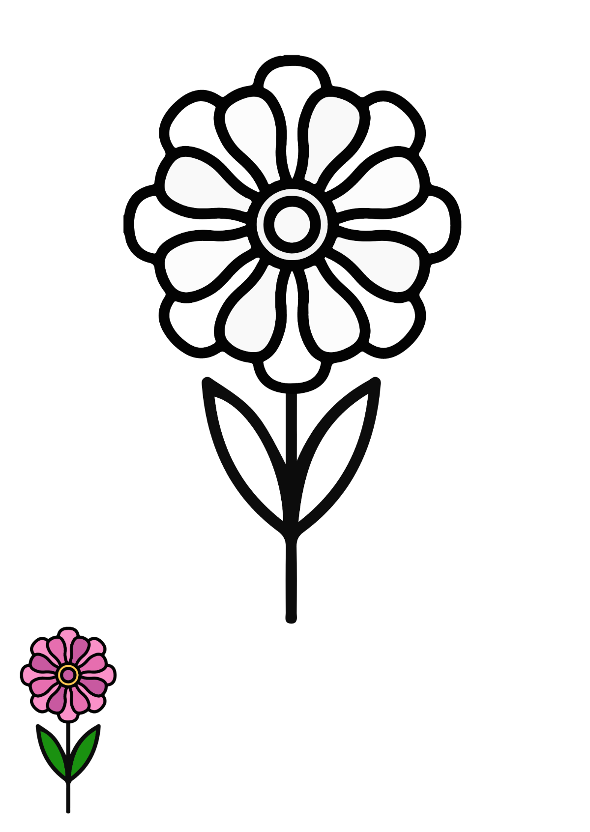 Zinnia Flower Coloring Page Template