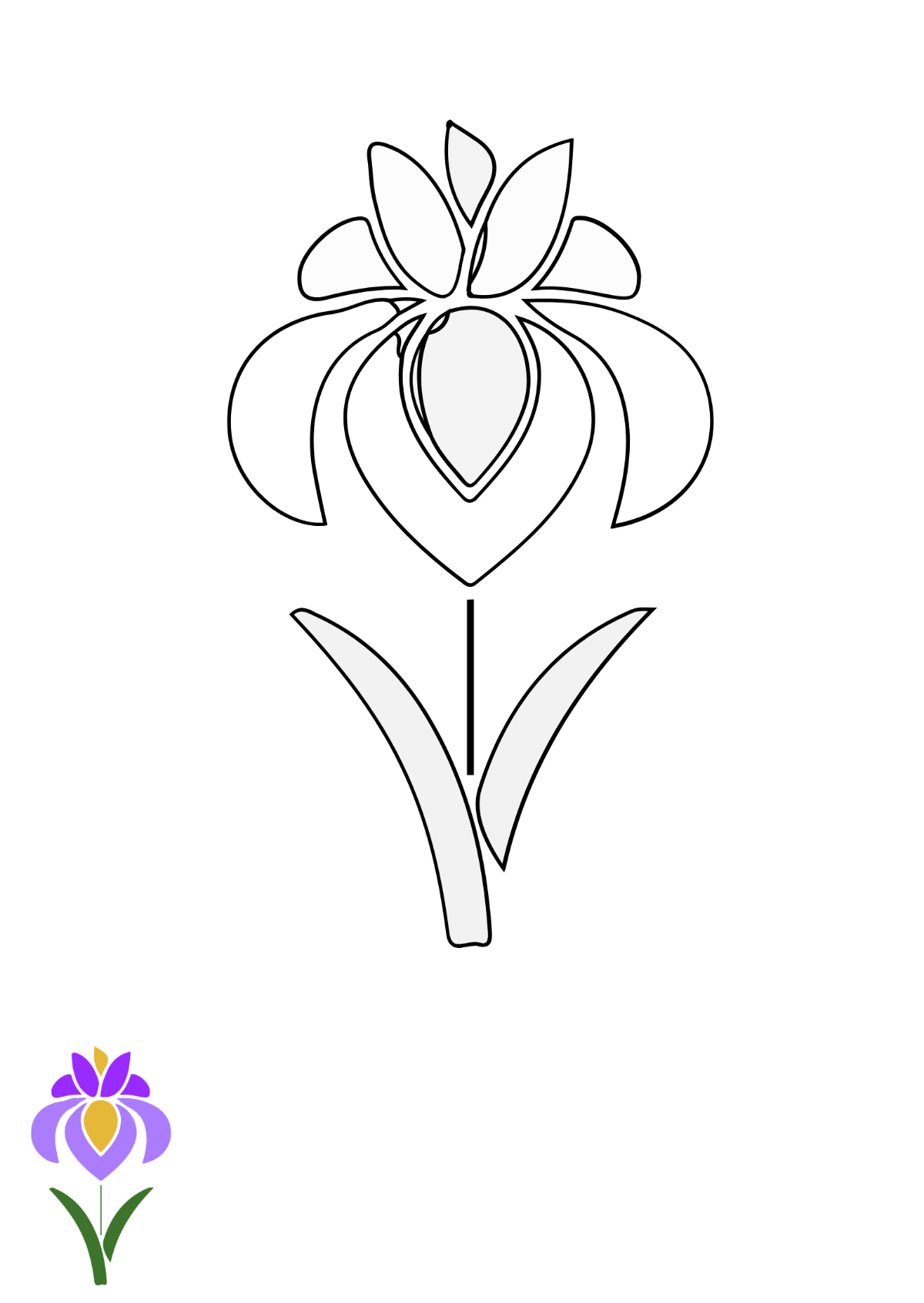 Iris Flower Coloring Page Template