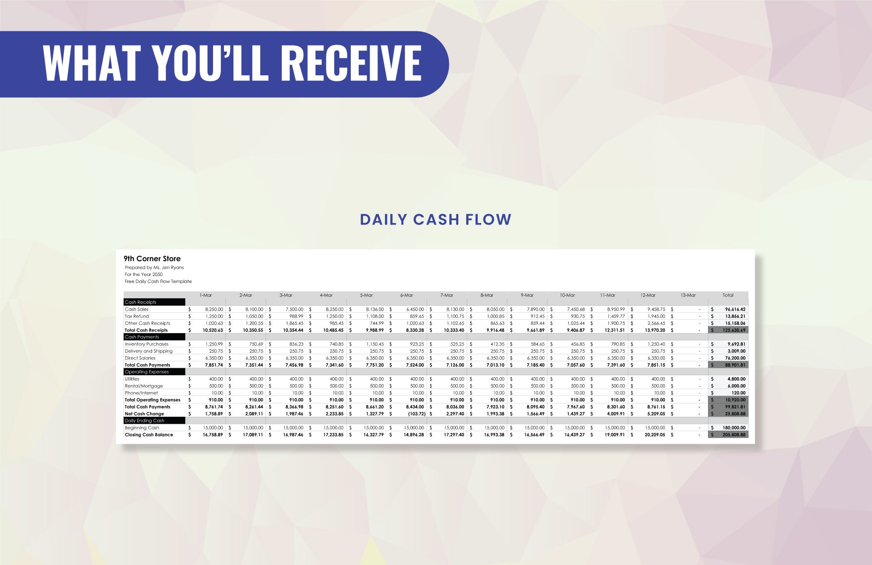 Daily Cash Flow Template