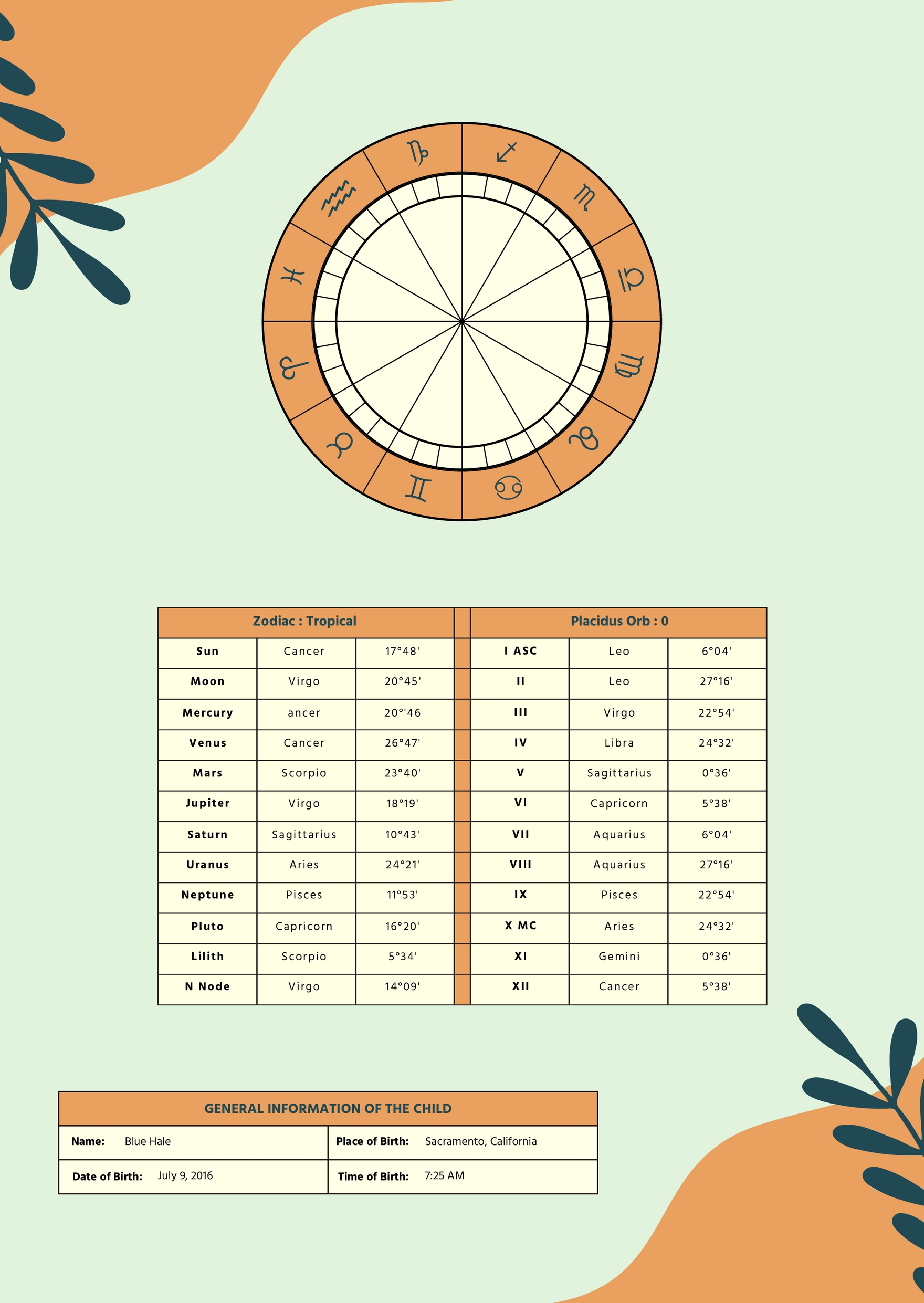 Family Natal Chart Template