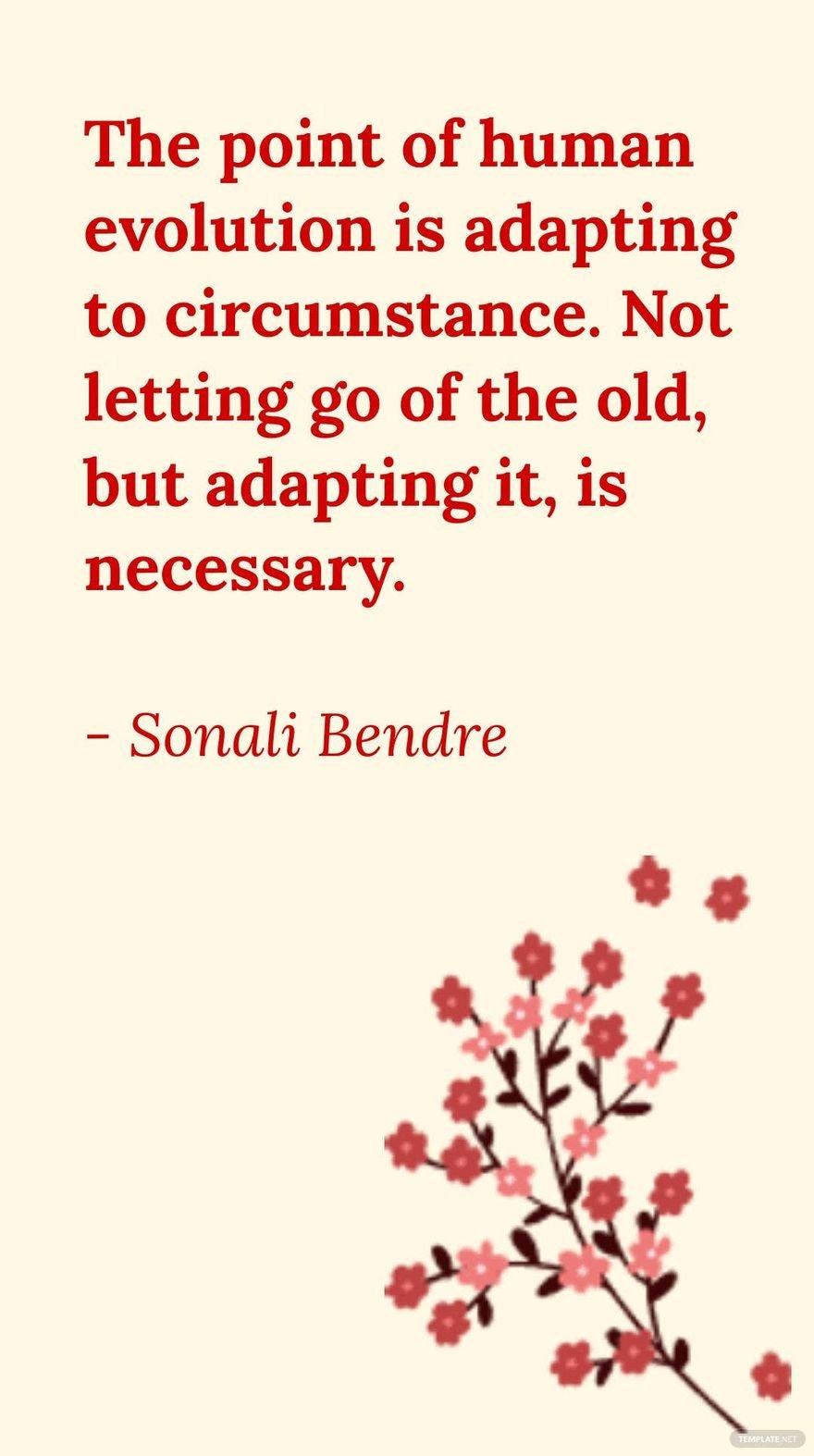 Sonali Bendre - The point of human evolution is adapting to circumstance. Not letting go of the old, but adapting it, is necessary.