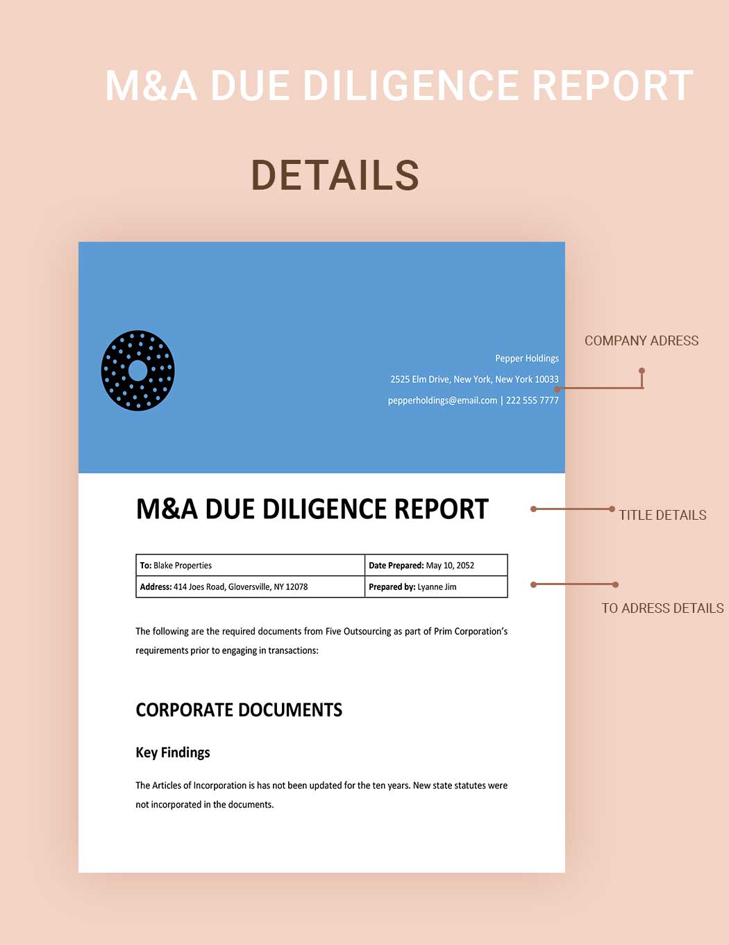 M&A Due Diligence Report 