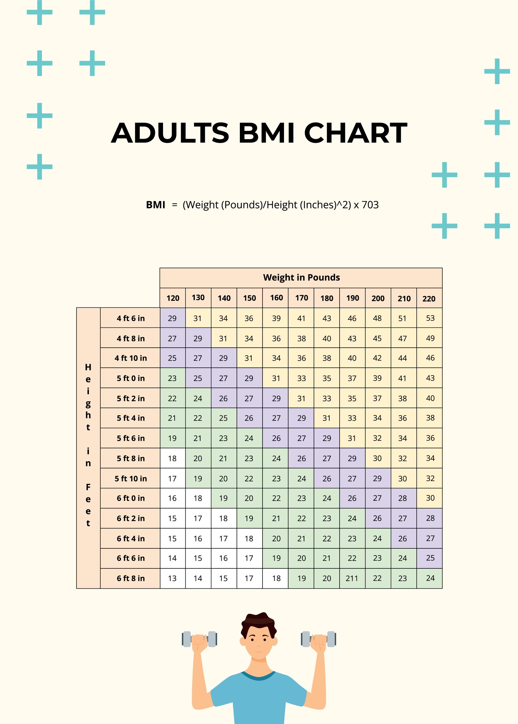 Adults BMI Chart Template in PDF, Illustrator