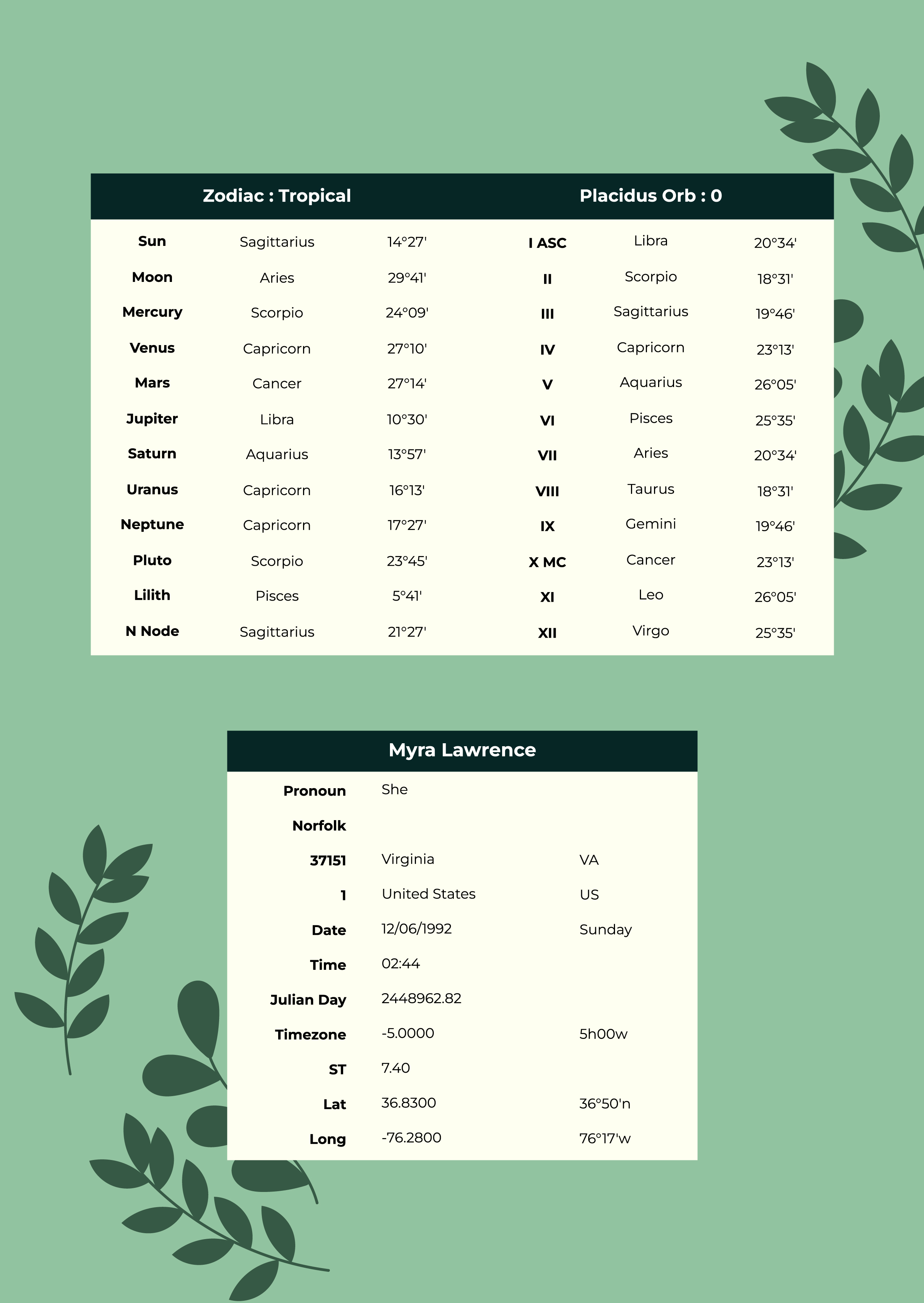 Free 2 Birth Chart Template to Edit Online