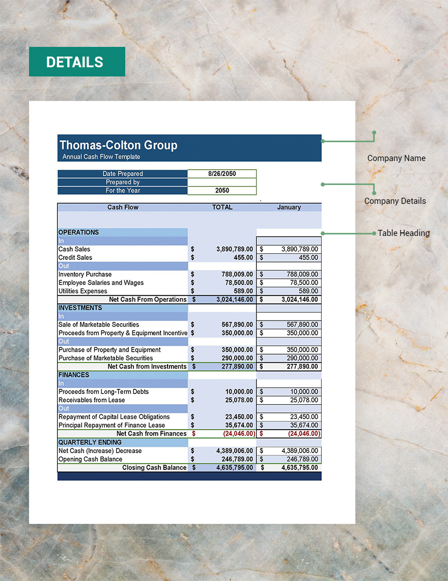 Annual Cash Flow Template - Google Sheets, Excel | Template.net