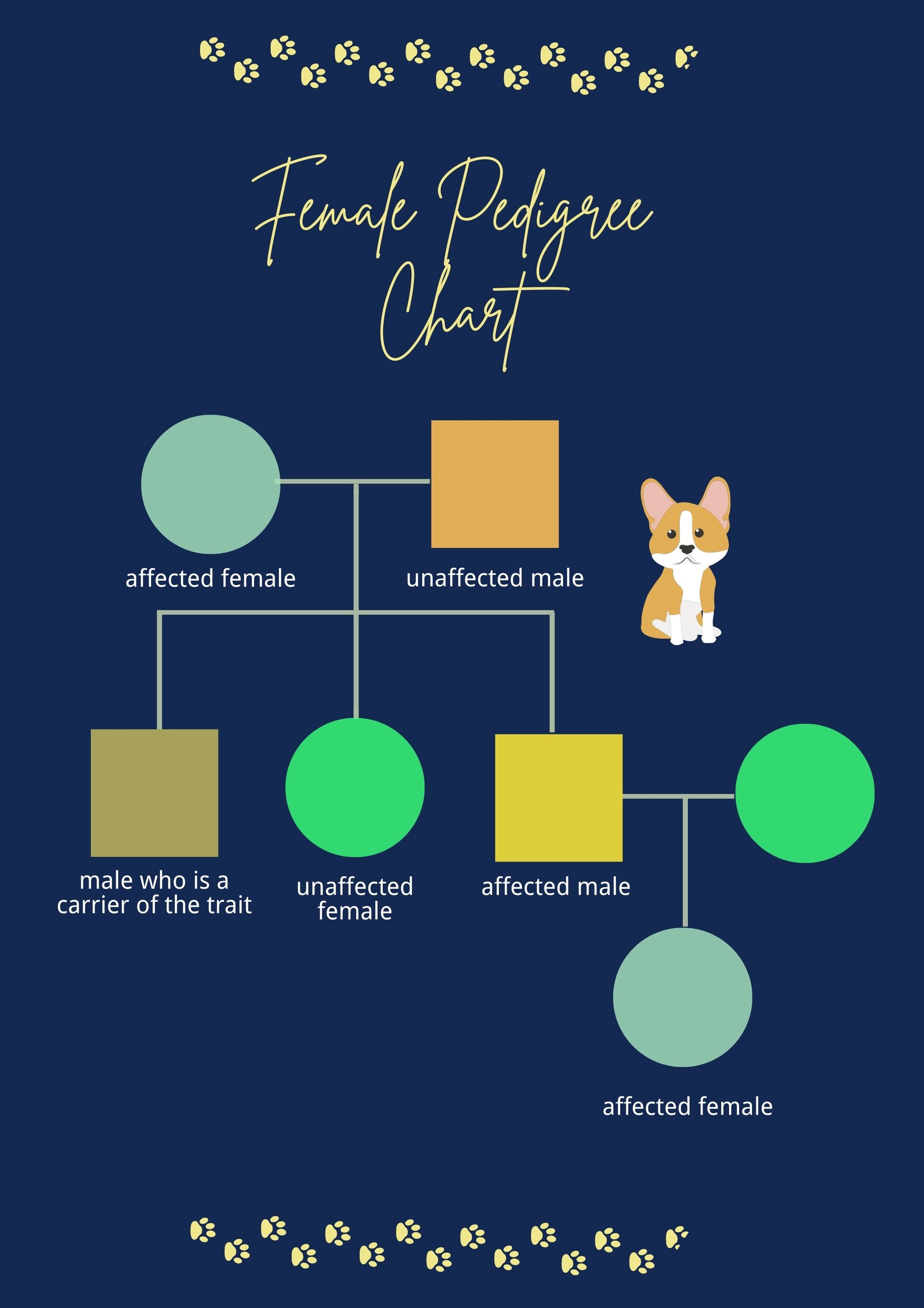 Free Female Pedigree Chart in PDF, Illustrator