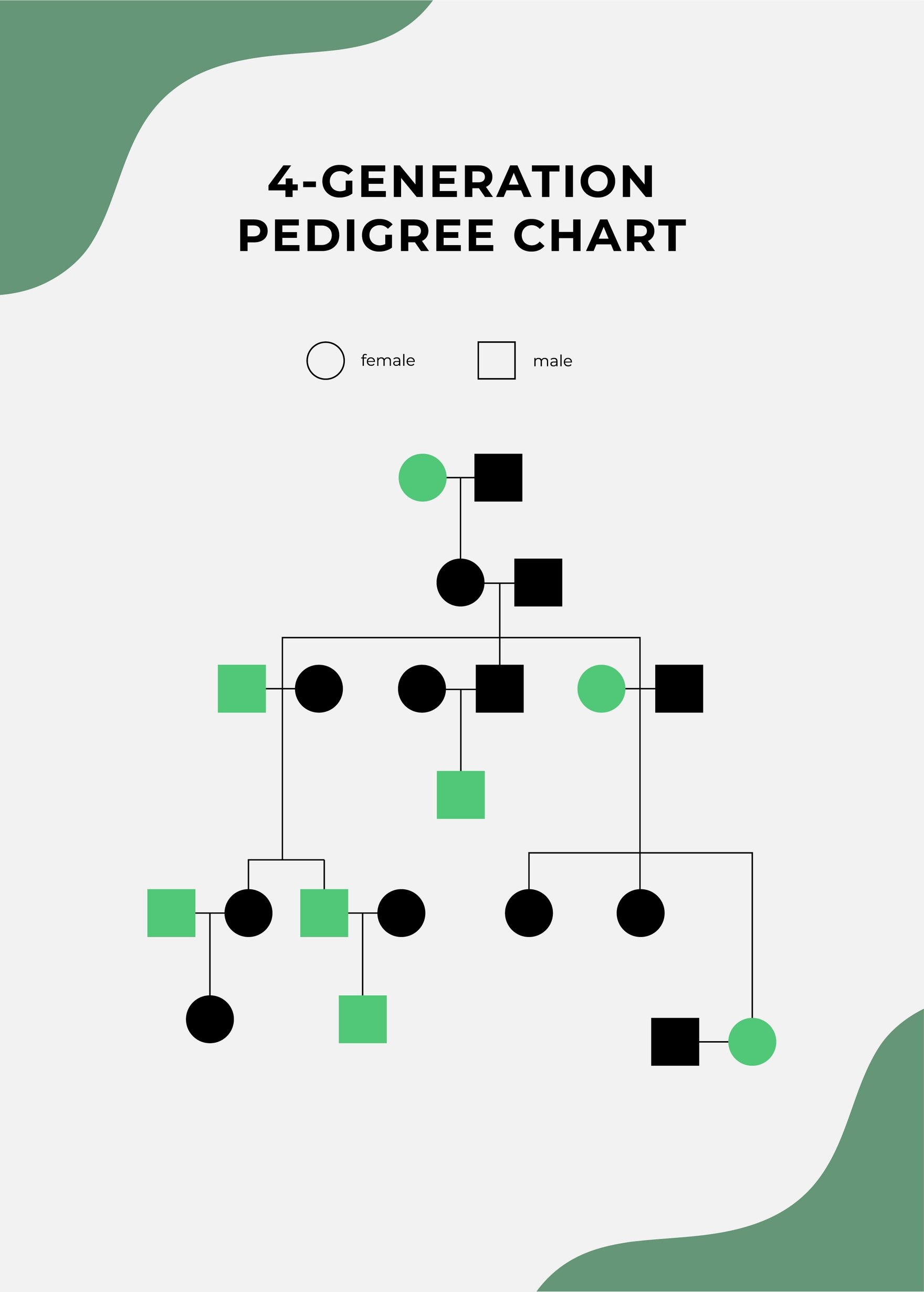 4 Generation Pedigree Chart in PDF, Illustrator