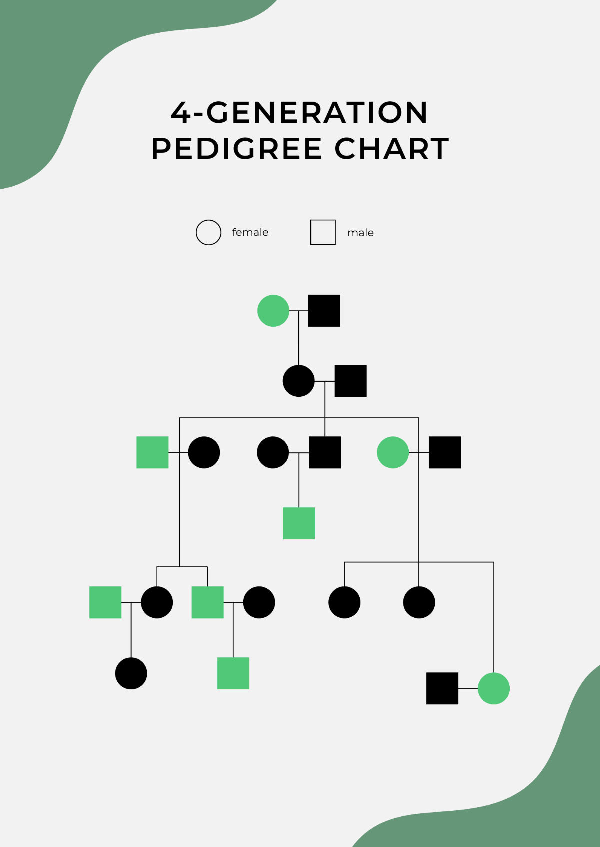 Free 4 Generation Pedigree Chart Template