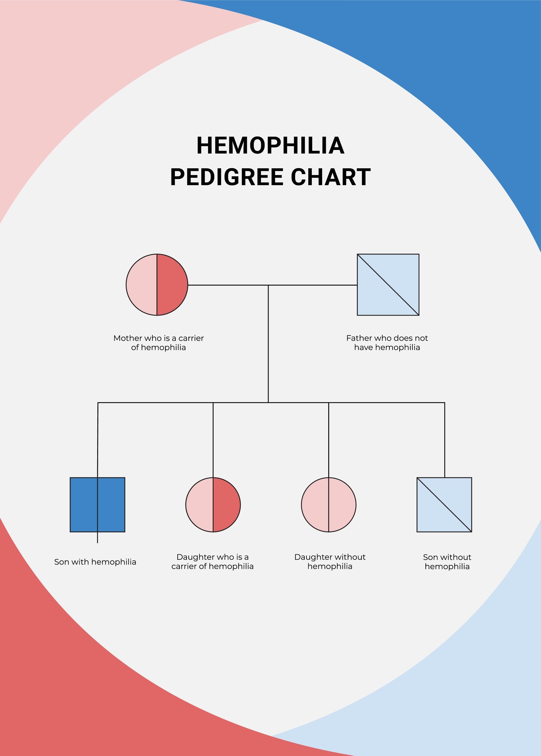 Hemophilia Pedigree Chart in PDF, Illustrator