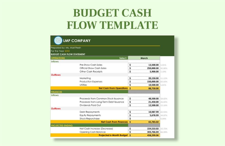 Budget Cash Flow Template