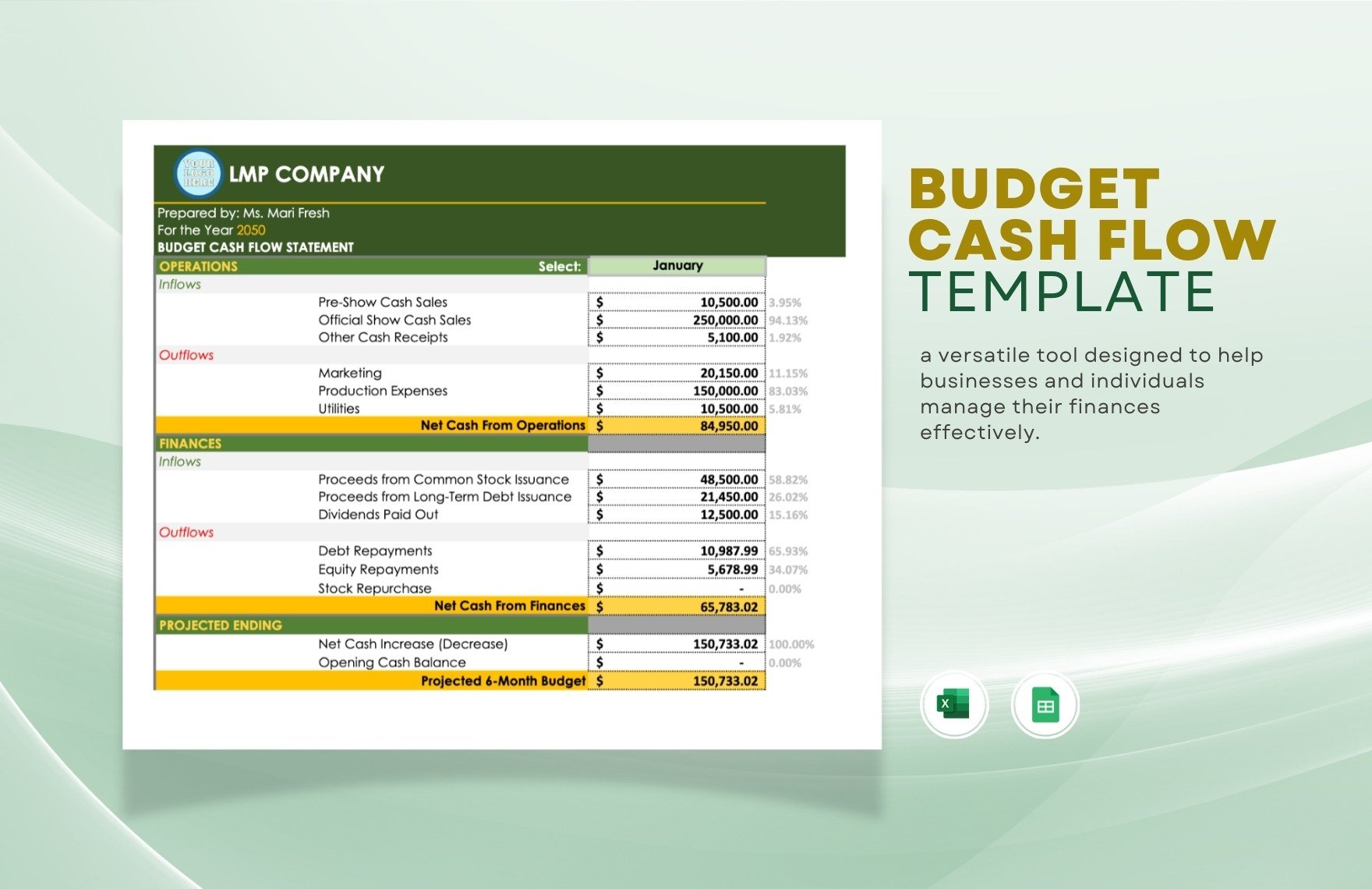 Budget Cash Flow Template in Excel, Google Sheets