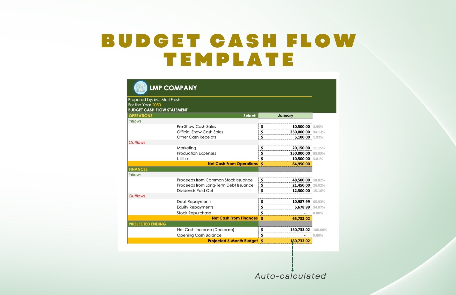 Budget Cash Flow Template