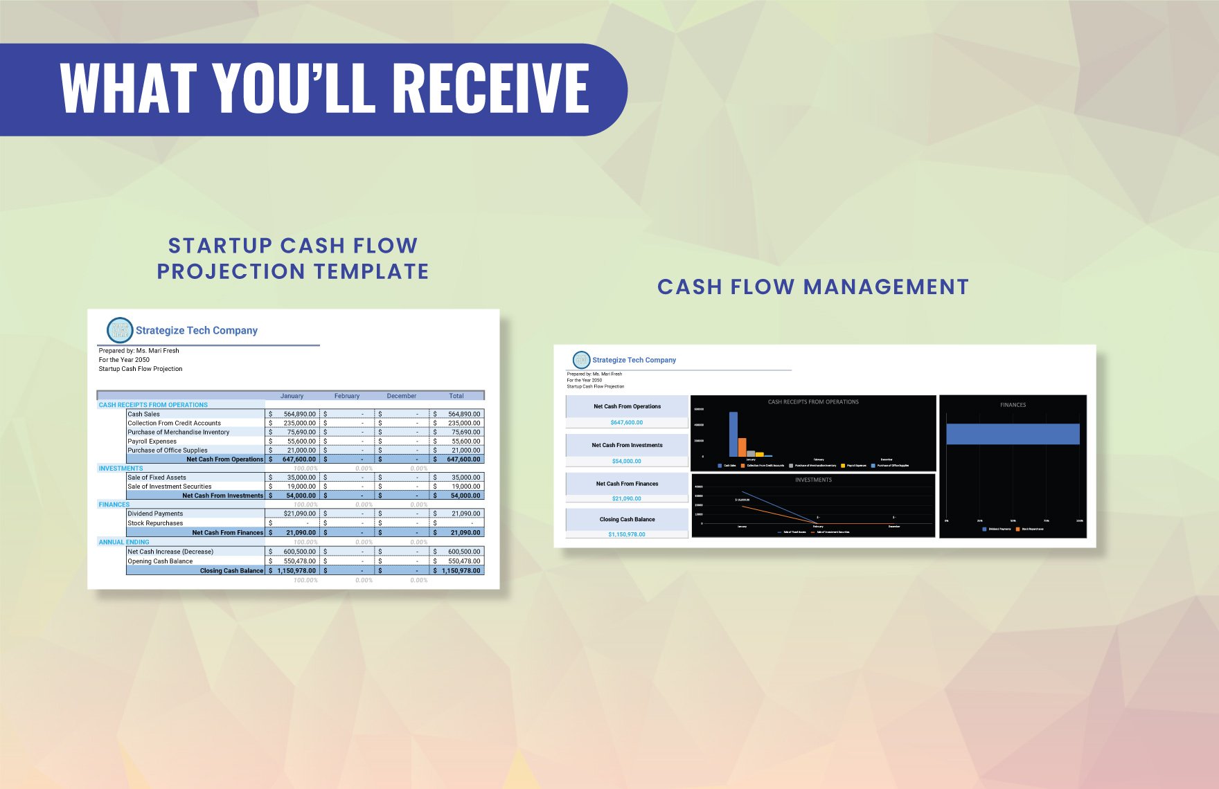 Startup CashFlow Projection Template