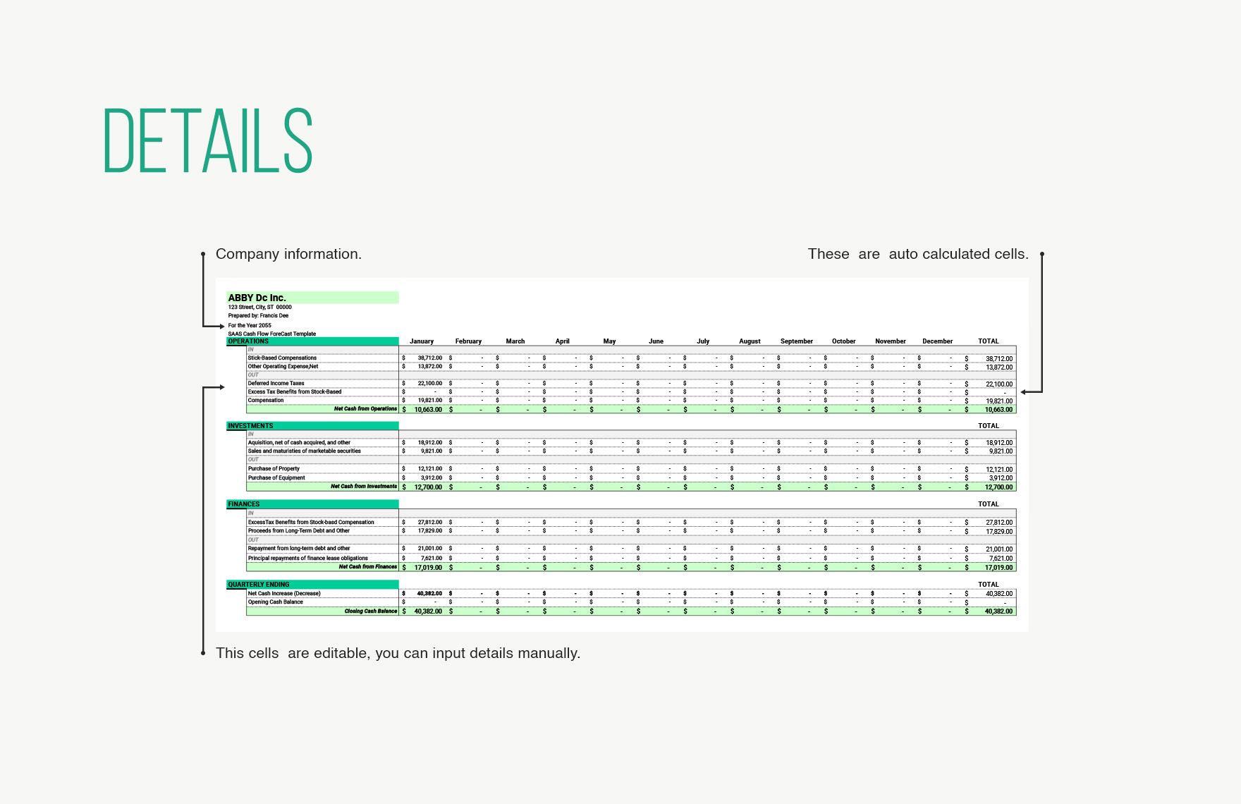SaaS Cash Flow Forecast Template Download in Excel Google Sheets SaaS Cash Flow Forecast Template Download in Excel Google Sheets
