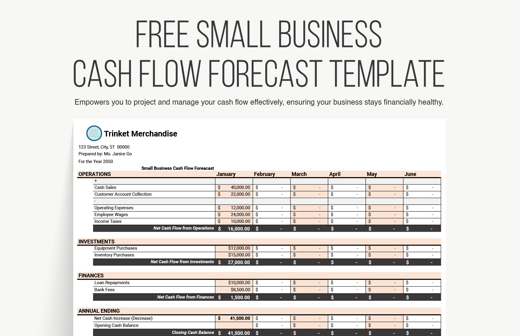 Small Business Cash Flow Forecast Template
