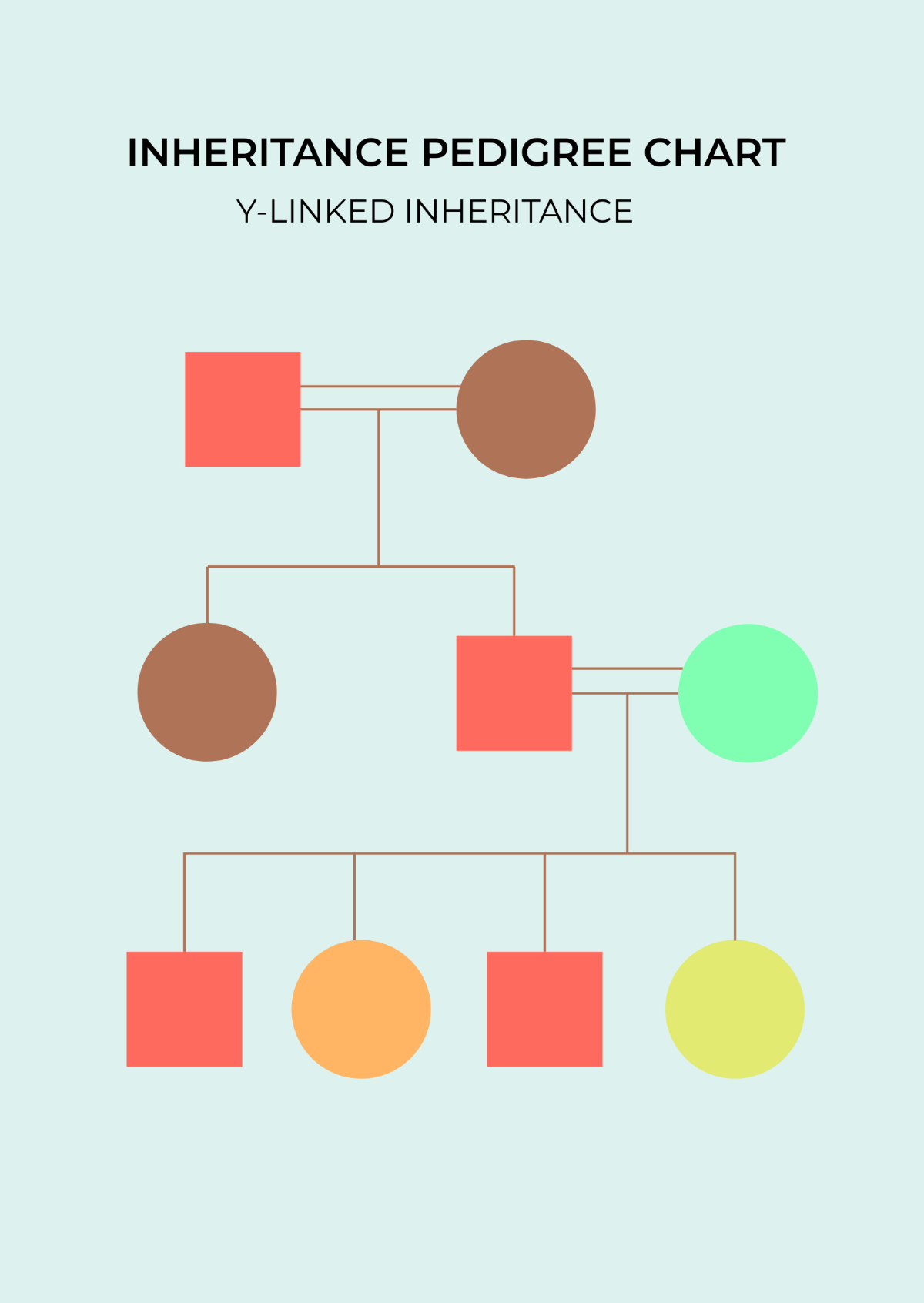 Inheritance Pedigree Chart Template