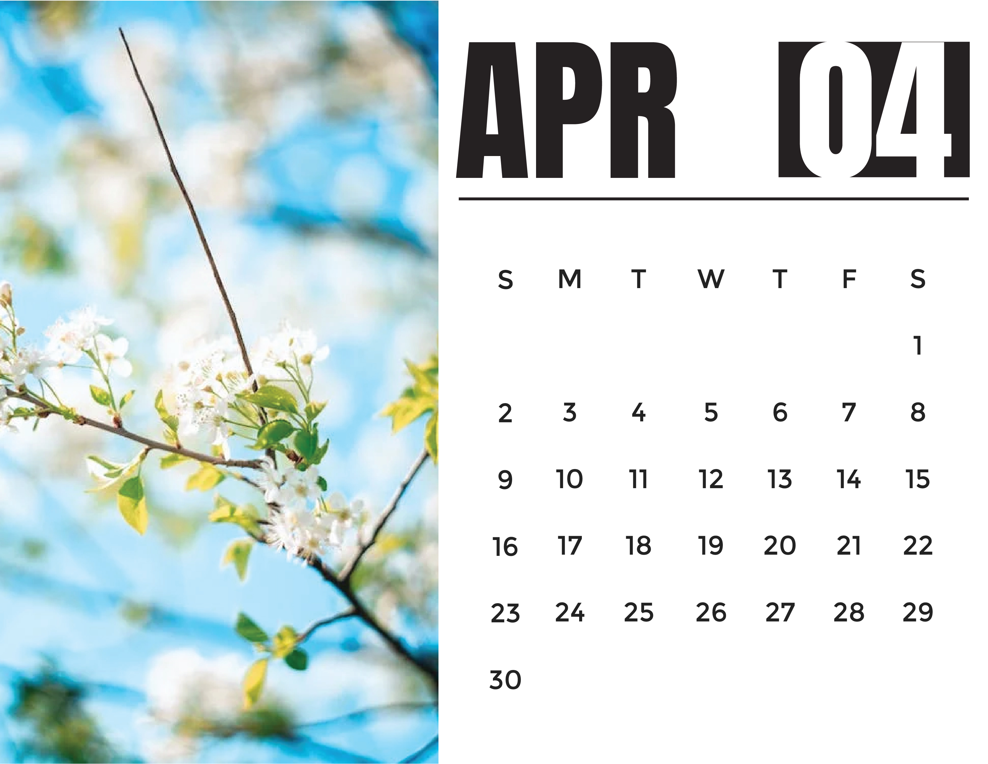 Free 2023 Photo Calendar Template to Edit Online