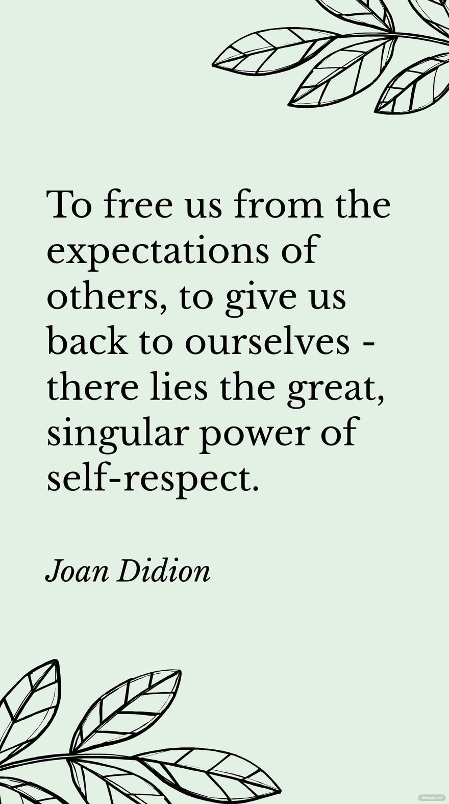 Joan Didion - To us from the expectations of others, to give us back to ourselves - there lies the great, singular power of self-respect.