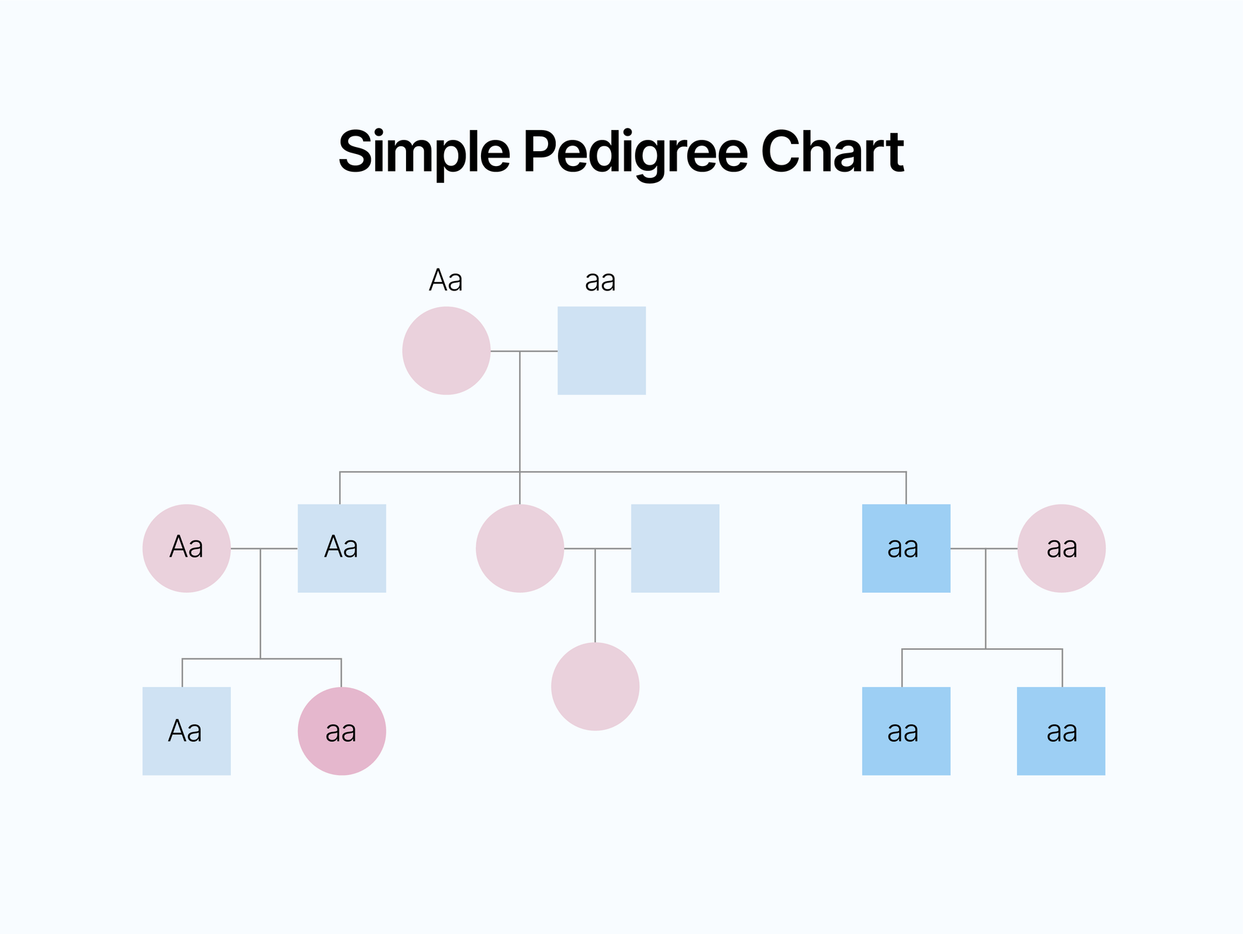 family-pedigree-chart