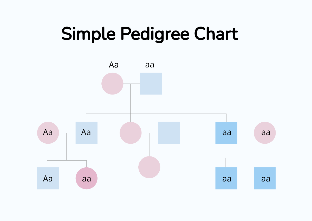 Simple Pedigree Chart Template