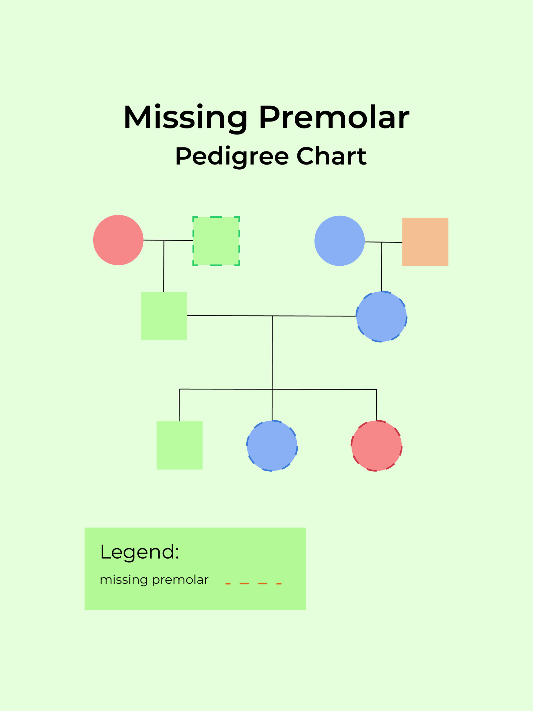 Missing Premolar Pedigree Chart