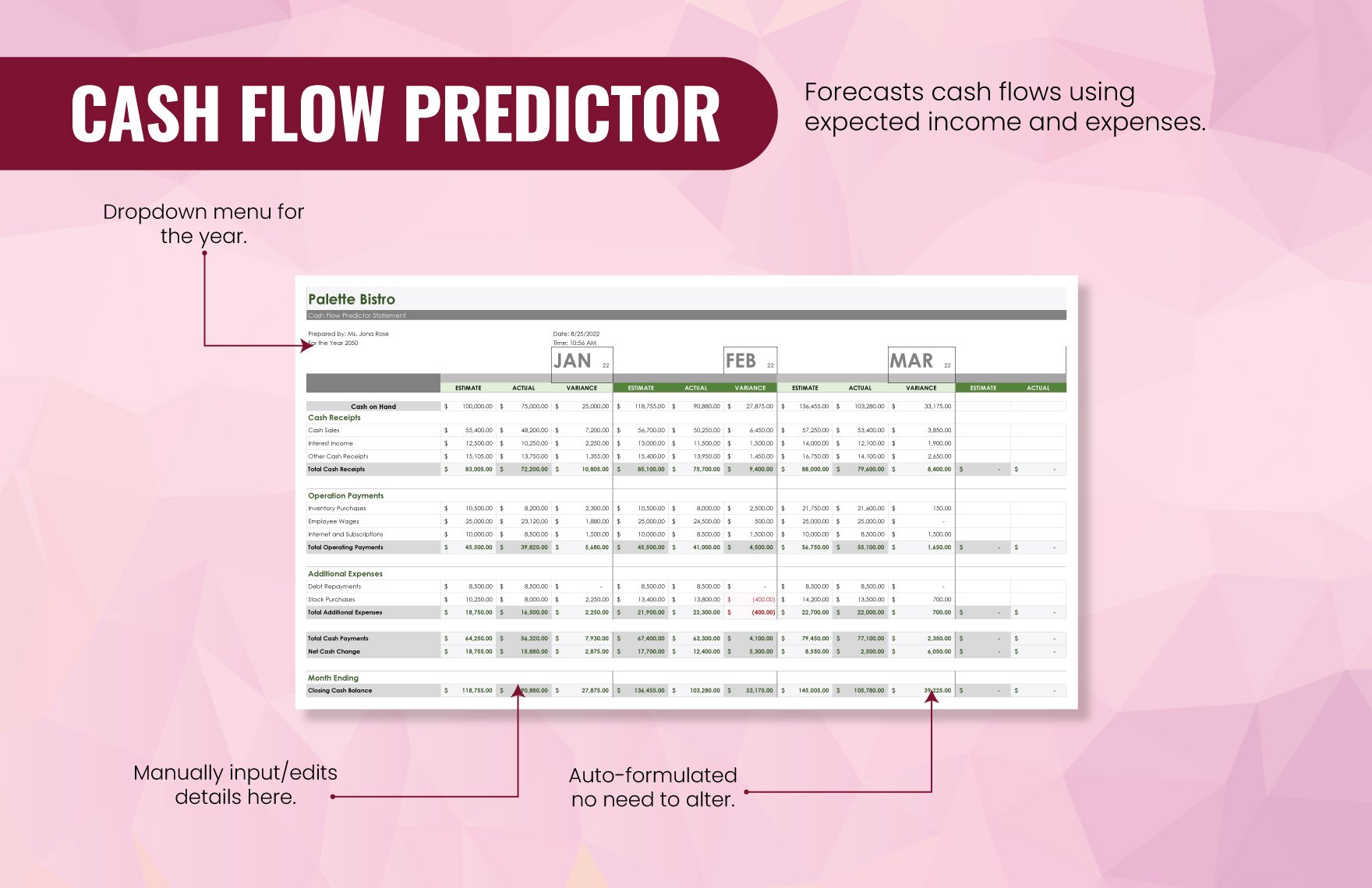 Cash Flow Predictor Template