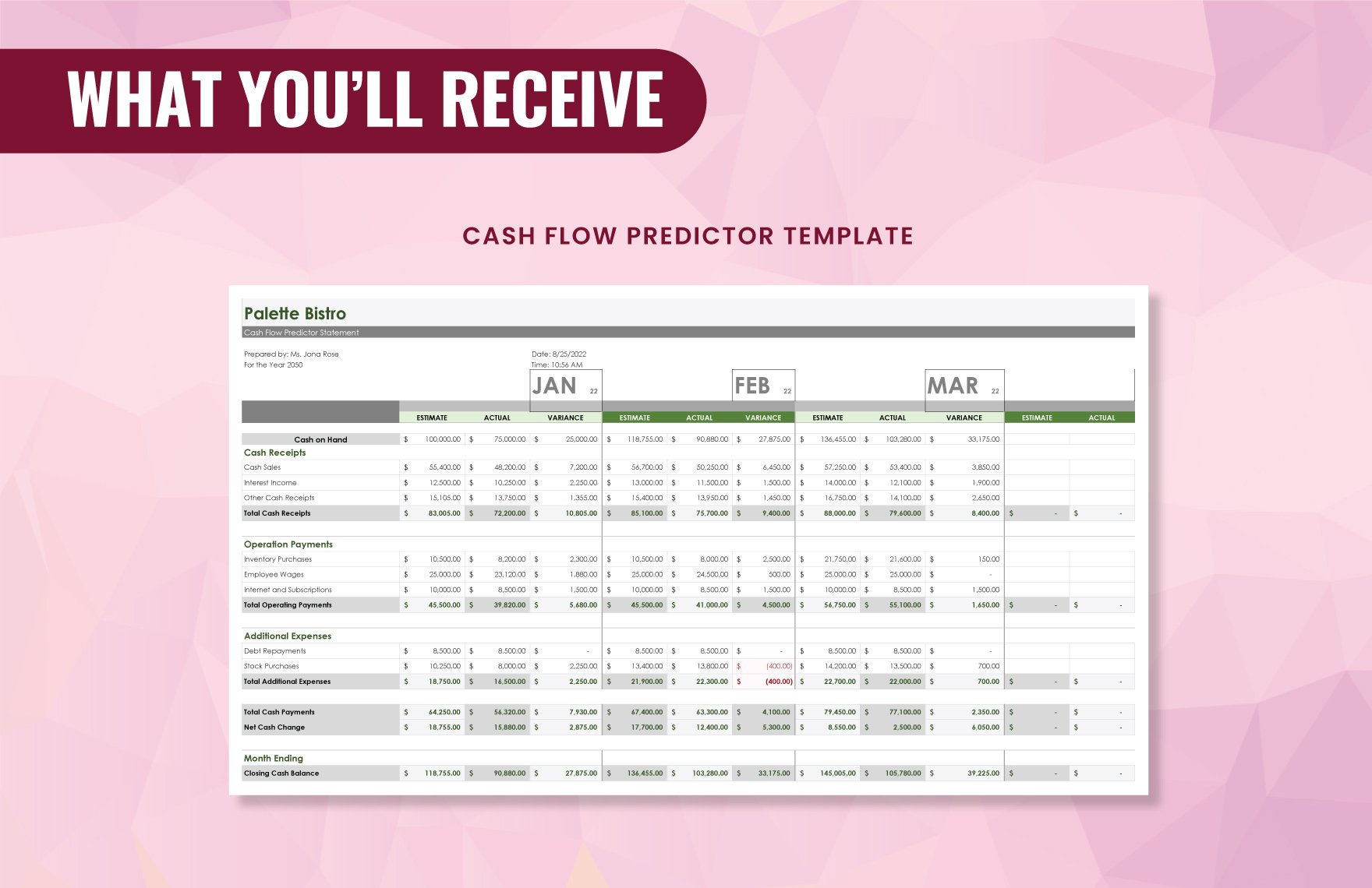 Cash Flow Predictor Template