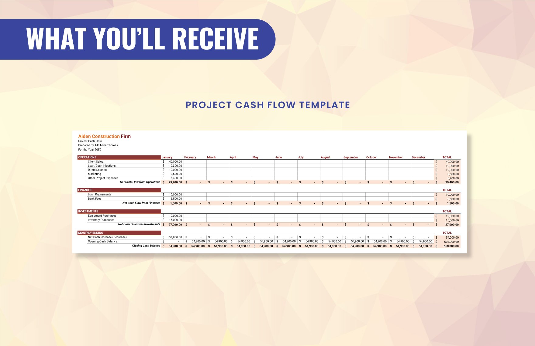 Project Cash Flow Template