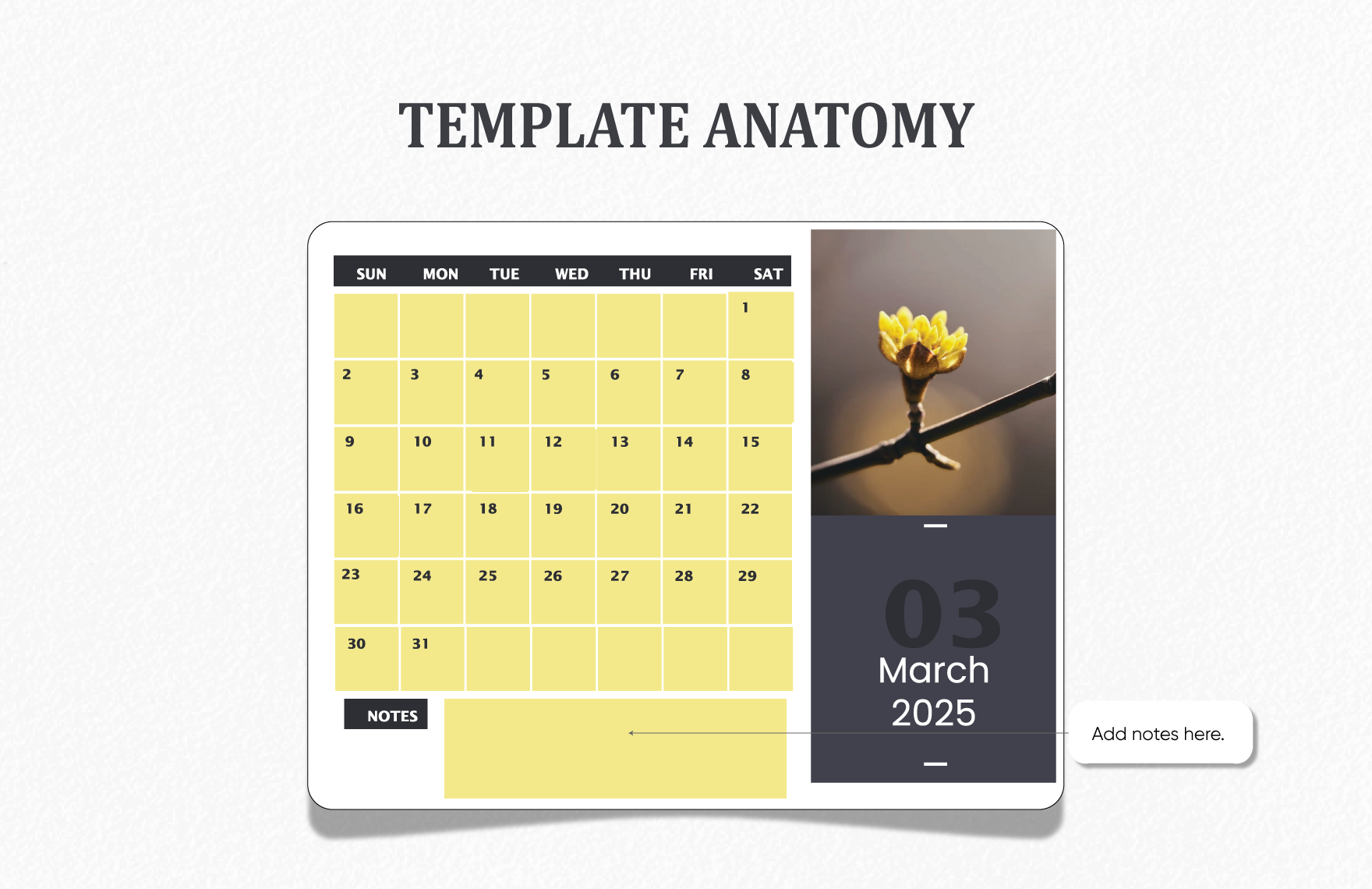 March 2025 Photo Calendar Template