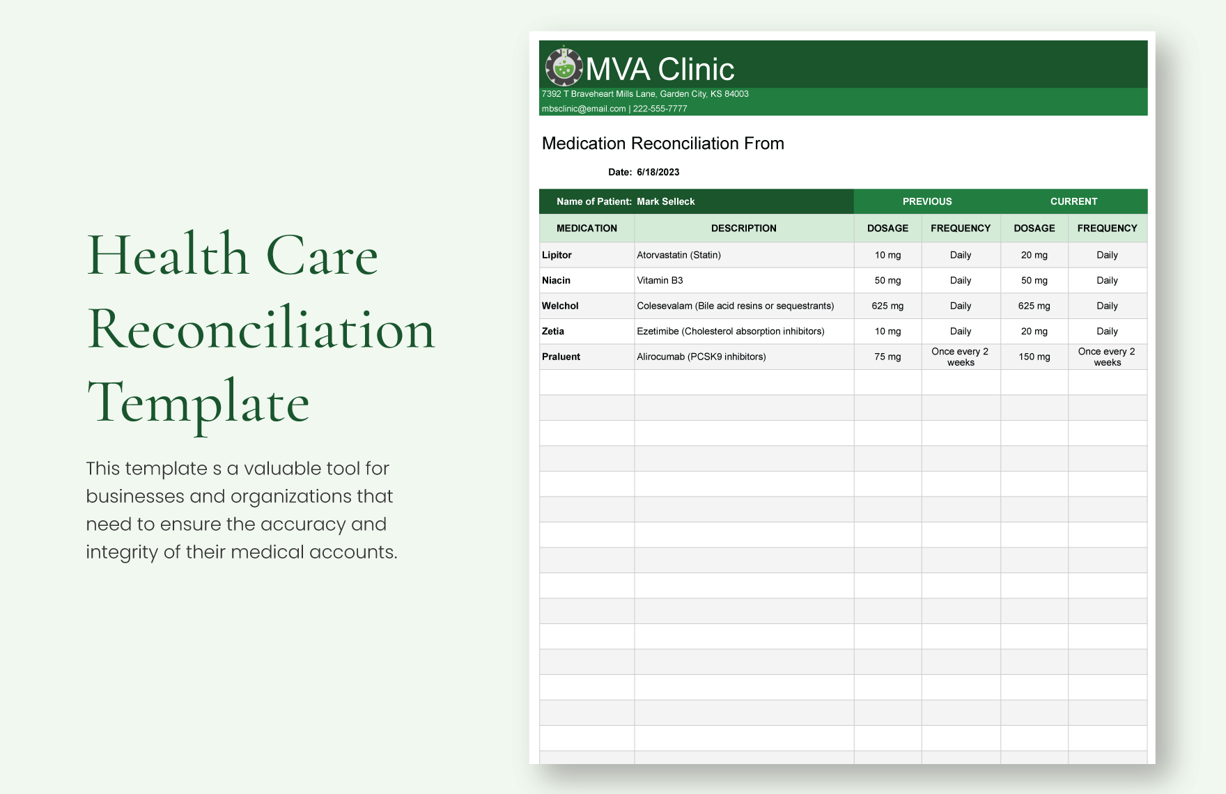 Health Care Reconciliation Template - Excel, Google Sheets | Template.net