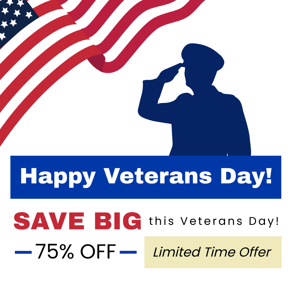Free Veterans Day Promotion Vector Template